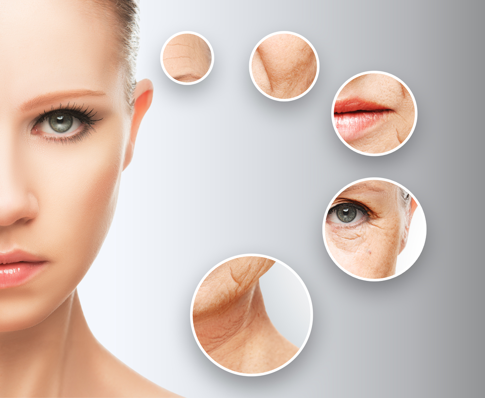 Best wrinkle treatment for face discount